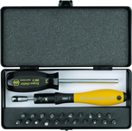 ESD TorqueVario-S Handle 15-80 in oz Micro Bit 24 Piece Set In Storage Box - All Tool & Supply