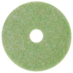 14" TOPLINE AUTOSCRUBBER PAD - All Tool & Supply